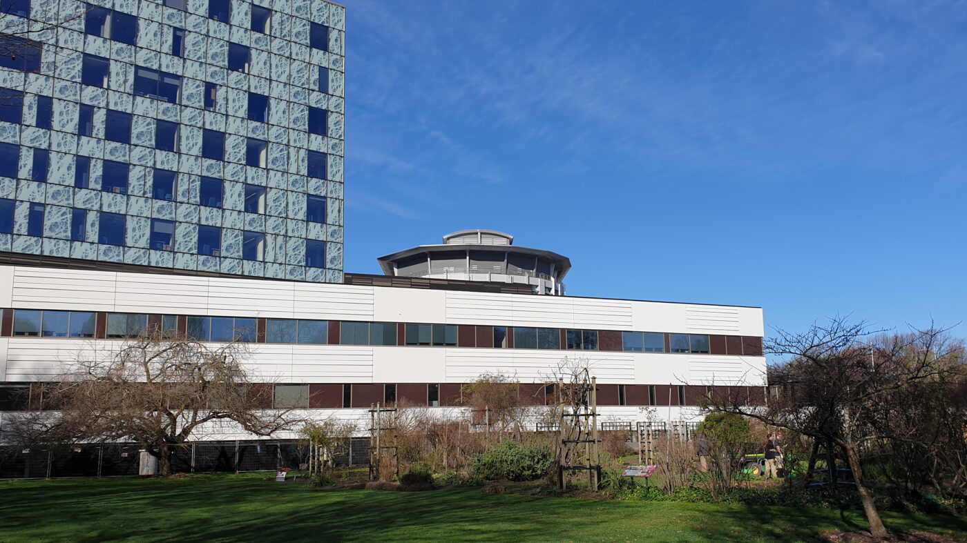 Waipapa – Christchurch Hospital