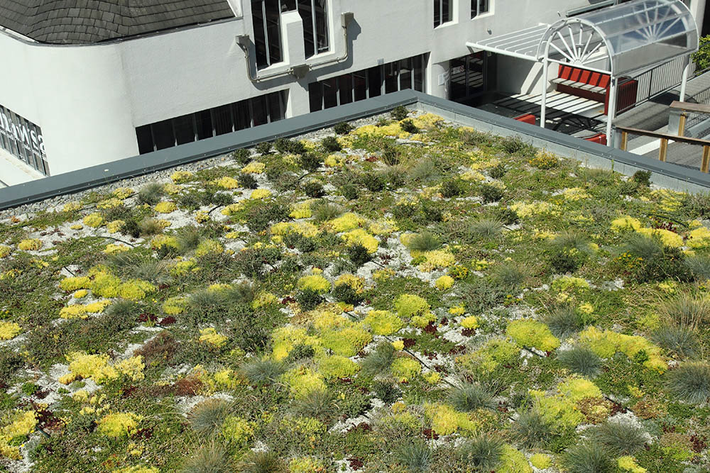 Duotherm Green Roof