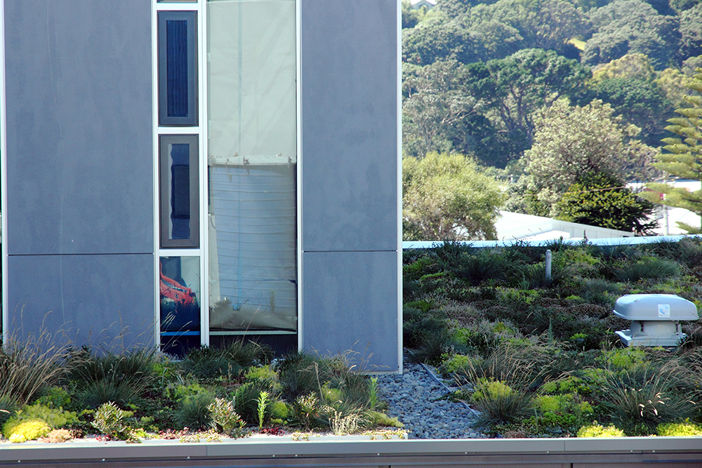 Duotherm Green Roof